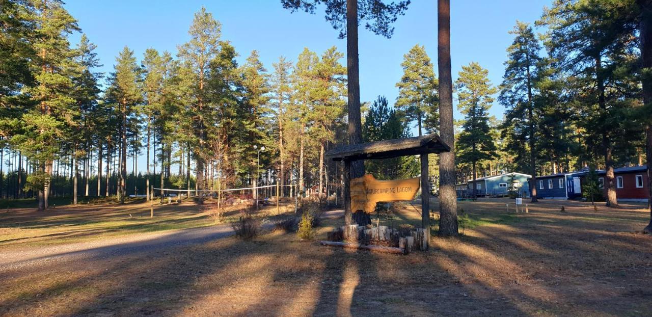 Hostel And Vandrarhem Lupin Naturcamping Lagom Gräsmark Exterior photo