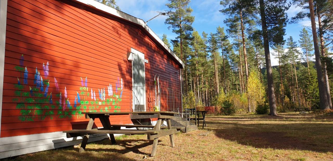 Hostel And Vandrarhem Lupin Naturcamping Lagom Gräsmark Exterior photo
